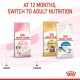 ROYAL CANIN KITTEN ( 2 Kg ) For Cat