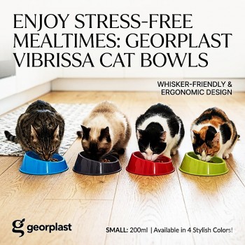 Georplast Vibrissa Bowl Small Lime Green – Whisker-Friendly Cat Feeding Bowl, Ergonomic Low-Profile Design, 200ml Capacity, 15 x 15 x 4 cm