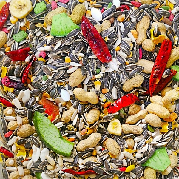 Premium Wild Bird Seed Mix – 10kg Bag | All-Natural High-Energy Blend with Sunflower Seeds, Peanuts & Chili Peppers | Attracts Macaws, Parrots, Finches, Cardinals & More
