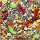 Premium Wild Bird Seed Mix – 10kg Bag | All-Natural High-Energy Blend with Sunflower Seeds, Peanuts & Chili Peppers | Attracts Macaws, Parrots, Finches, Cardinals & More