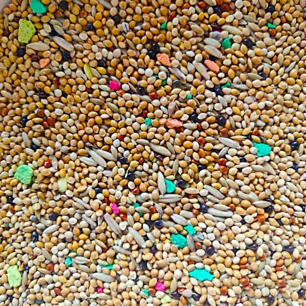 Al Masroor Vitamin Seed Mix – Premium Blend for Budgies, Finches & Small Birds | Nutritionally Balanced Seed & Pellet Mix | Supports Health, Vitality & Feather Care | 20kg Bag