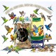Premium Bird Food Seed Mix – Budgies, Parakeets, Zebra Finches, Lovebirds, Canaries, Cockatiels & Small Parrots – 20kg Bulk Bag