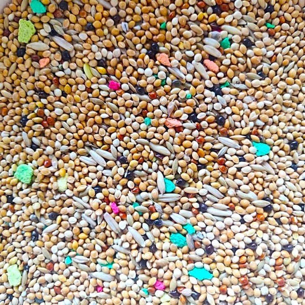 Premium Bird Food Seed Mix – Budgies, Parakeets, Zebra Finches, Lovebirds, Canaries, Cockatiels & Small Parrots – 20kg Bulk Bag