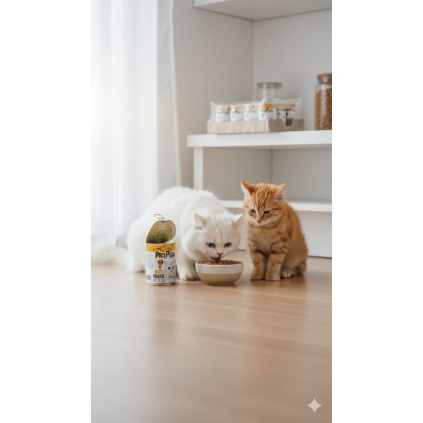 Pro Plus Premium Adult Cat Wet Food with Chicken, Grain-Free Pate, Complete & Balanced Nutrition, 400g × 12 Cans Pro Plus Premium Adult Cat Wet Food with Chicken, Grain-Free Pate, Complete & Balanced Nutrition, 400g × 12 Cans