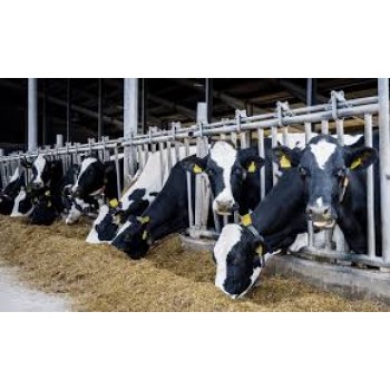 COMING SOON COMING SOON