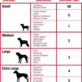 MIKKI DOG BOOT for dog ( SIZE 5 )