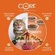 Wellness CORE Signature Selects Shredded Chicken & Turkey(79g)  For Cat