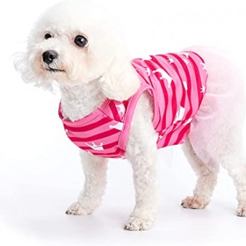 CROWN PRINTED DOG DRESS SUMMER PET CLOTH(XS)