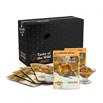 Taste of the Wild Canyon River Cat Wet Food Chunks in Gravy with Trout Chicken and Turkey Grain Free 85g x 12 Pouches