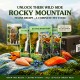 Taste of the Wild Rocky Mountain Feline Recipe Wet Cat Food 85g x 12 Pouches, Chunks in Gravy with Chicken and Salmon, Grain Free Complete Cat Food for Kittens, Adults, Seniors and Sterilized Cats