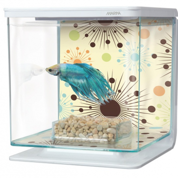 MARINA BETTA KIT BOY FIREWORKS YELLOW(2L) MARINA BETTA KIT BOY FIREWORKS YELLOW(2L)