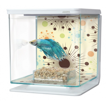 MARINA BETTA KIT BOY FIREWORKS YELLOW(2L) MARINA BETTA KIT BOY FIREWORKS YELLOW(2L)