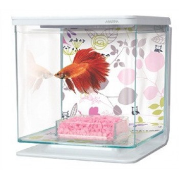 MARINA BETTA KIT 2L - FLORAL-PINK) MARINA BETTA KIT 2L - FLORAL-PINK)