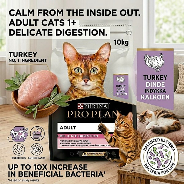 Purina Pro Plan Adult Delicate Digestion Dry Cat Food with Turkey 10kg – Sensitive Stomach Formula, Wheat-Free High Digestibility Nutrition with Optirenal Kidney Support for Adult Cats