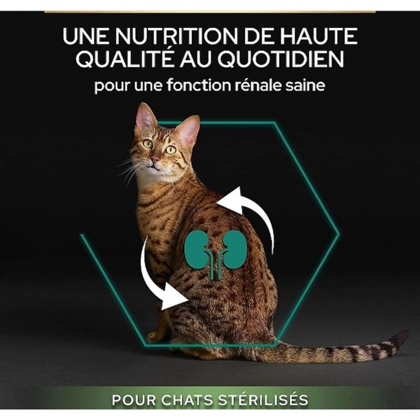 Purina Pro Plan Adult Sterilised Renal Plus Rich in Turkey Dry Cat Food, Kidney & Urinary Support, Weight Control Formula – 10 kg