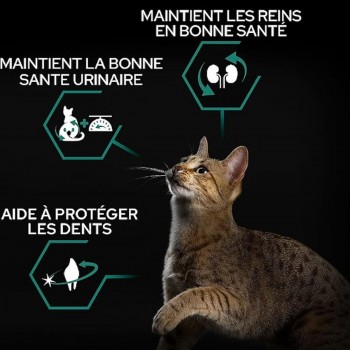 Purina Pro Plan Adult Sterilised Renal Plus Rich in Turkey Dry Cat Food, Kidney & Urinary Support, Weight Control Formula – 10 kg