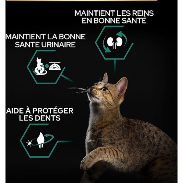 Purina Pro Plan Adult Sterilised Renal Plus Rich in Turkey Dry Cat Food, Kidney & Urinary Support, Weight Control Formula – 10 kg