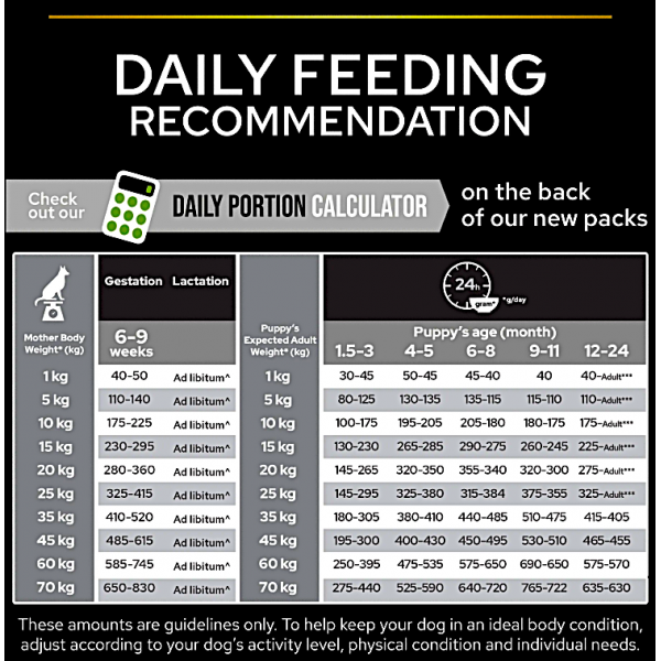 Purina Pro Plan Healthy Start Medium Puppy Dry Dog Food Chicken 12kg – Immune Support with Colostrum, High Protein Growth Formula, No Added Colourants, Complete Nutrition for Medium Breed Puppies