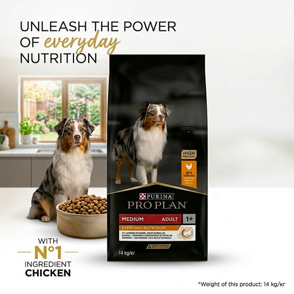 PRO PLAN Everyday Nutrition Medium Adult Dry Dog Food with Chicken – 14 kg – High Protein Maintenance Diet for Adult Dogs – Supports Dental Care, Joint Health & Everyday Immunity