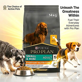 Purina Pro Plan Everyday Nutrition Small & Mini Adult Dry Dog Food with Chicken 14kg High Protein Formula Supports Dental Care Healthy Heart Immunity OPTIBALANCE Complete Diet for Small Breed Dogs 1+ Years