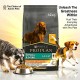Purina Pro Plan Everyday Nutrition Small & Mini Adult Dry Dog Food with Chicken 14kg High Protein Formula Supports Dental Care Healthy Heart Immunity OPTIBALANCE Complete Diet for Small Breed Dogs 1+ Years