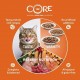 Wellness CORE Signature Selects Shredded Chicken & Turkey, (79g Pack of 24)  For Cat