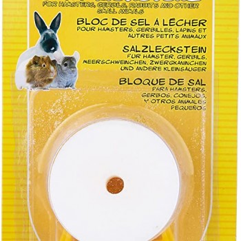 LIVING WORLD SALT LICKSTONE ( 77 G )