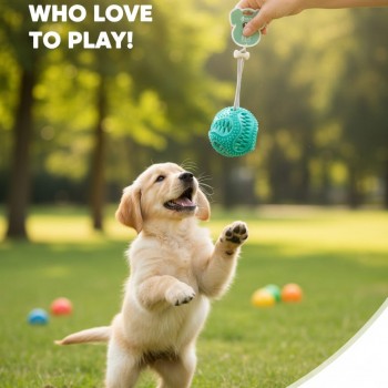 Pets Dog Chew Ball Toy – Durable Interactive Chew & Tug Toy for Dogs | Dental Care, Treat Dispenser, Fetch & Tug Play