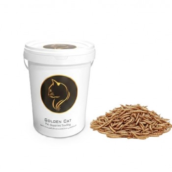Dried Mealworms are a perfect source of protein for Wild birds, Chicken, Fish, & Reptiles.( 1 KG )