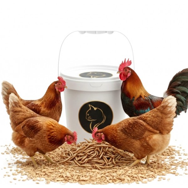 Dried Mealworms are a perfect source of protein for Wild birds, Chicken, Fish, & Reptiles.( 1 KG )