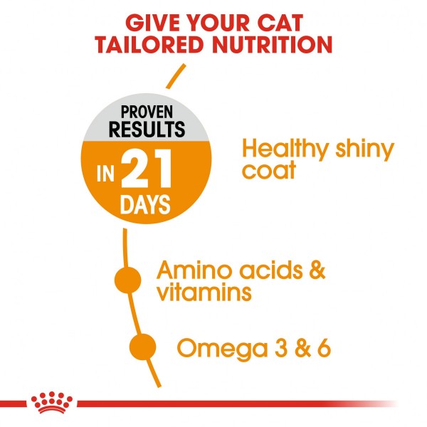 Royal Canin Hair & Skin ( 10 Kg ) For Cat