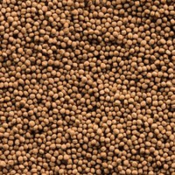 Sera Koi Royal Mini Nature Fish Food – Floating Staple Granules for Small Koi up to 12 cm – Balanced Growth, Strong Immunity, Easy Digestion – No Dyes or Preservatives – 1000 ml