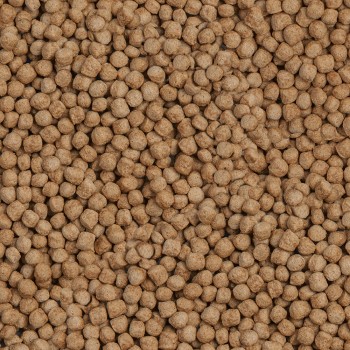 Sera Koi Royal Medium Nature 1000ml – Premium Staple Food for Koi (12–25 cm) | Floating Granules for Balanced Growth & Strong Immunity