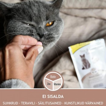 GimCat Skin & Coat Tabs, 40g