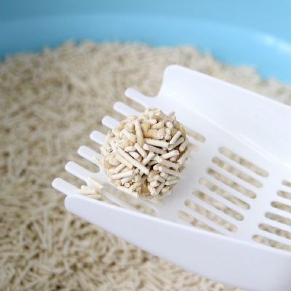 Pets Club Soya Bean Clumping Cat Litter Strawberry Scent 7L (2.5kg) | Eco-Friendly Biodegradable Soy-Based Cat Litter with Quick Clumping, Strong Odor Control, Dust Free & Flushable