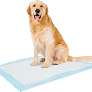 Duvo+ Pet Pad Premium Week Pack XXL-60x90cm 7pcs