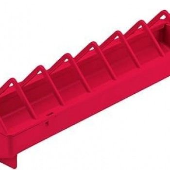 GOLDEN CAT FOOD TRAY FOR BIRD (LARGE) Red