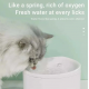 Automatic Cat Water Fountain 2.5L – Quiet Pet Water Dispenser for Cats, Dogs & Multiple Pets, Green