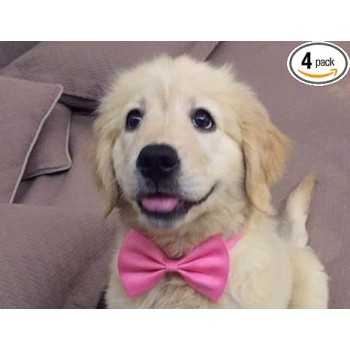 Cute Dog Puppy Cat Kitten Pet Toy Kid Bow Tie Necktie Clothes Cute Dog Puppy Cat Kitten Pet Toy Kid Bow Tie Necktie Clothes