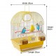 Golden Cat Premium Yellow Bird Cage 30 x 26 x 38 cm – Decorative Small Bird Cage with Removable Cleaning Tray, 2 Feeding Cups, 2 Wooden Perches, Secure Lock Door & Carry Handle for Budgies, Lovebirds, Finches, Canaries & Small Birds