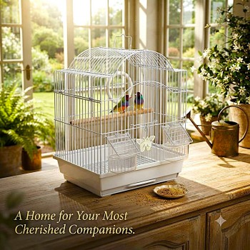 Premium White Decorative Bird Cage 30 x 26 x 39 cm with Arch Roof Play Ring Wooden Perch 2 External Feeders Removable Tray for Finches Canaries Budgies and Small Birds
