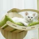Cat tree-150cm Cat tower-Cat tree for indoor cats  Transparent space capsule, Plush jumping platform ( Green )