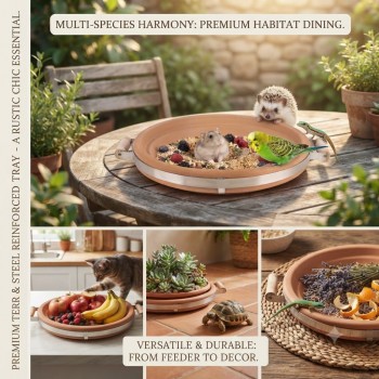 Terracotta Bird Feeder & Bird Bath Tray with Steel Reinforced Band and Wooden Handles, Heavy Duty Outdoor Wildlife Feeding Dish, Rustic Garden Decor, Large, 40 x 37 x 7 cm