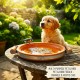 Terracotta Bird Feeder & Bird Bath Tray with Steel Reinforced Band and Wooden Handles, Heavy Duty Outdoor Wildlife Feeding Dish, Rustic Garden Decor, Extra Small, 27 x 23 x 4.5 cm