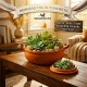 Natural Terracotta Bird Bath and Pet Feeding Bowl with Removable Lid, Handmade Earthenware Food and Water Bowl for Birds, Cats, Dogs & Small Animals, Rustic Garden Decor, Indoor Outdoor Planter, 33 x 24 x 17 cm