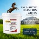 Care & Cure Electrolyte Plus Apple Flavored Electrolyte Feed Supplement Powder for Horses, Hydration & Mineral Support, Sodium Potassium Calcium Magnesium, 10 KG Bucket