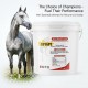 Care & Cure Electrolyte Plus Apple Flavored Electrolyte Feed Supplement Powder for Horses, Hydration & Mineral Support, Sodium Potassium Calcium Magnesium, 10 KG Bucket