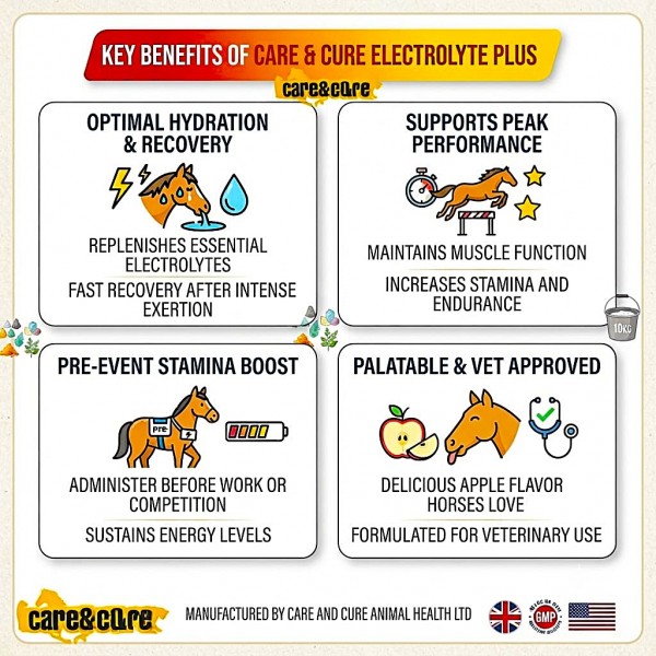 Care & Cure Electrolyte Plus Apple Flavored Electrolyte Feed Supplement Powder for Horses, Hydration & Mineral Support, Sodium Potassium Calcium Magnesium, 10 KG Bucket