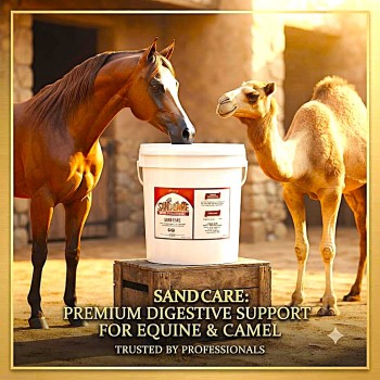 Care & Cure Sand Care Psyllium Seed Husk Horse & Camel Supplement 10 Kg, 99% Psyllium Husk Powder for Digestive Health and Sand Management, Equine & Camel Feed Supplement