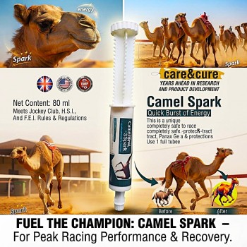 Care & Cure Camel Spark Oral Energy Booster Paste for Racing Camels, Quick Energy Support Supplement, 80 ml Tube
